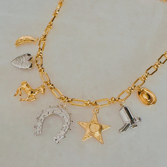 Rustic Charm Wild Western Multi-Accent Necklace